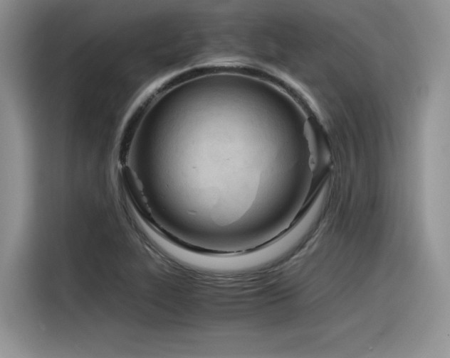 X0000116391319200912021532