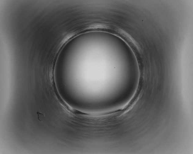 X0000116391321200912021532