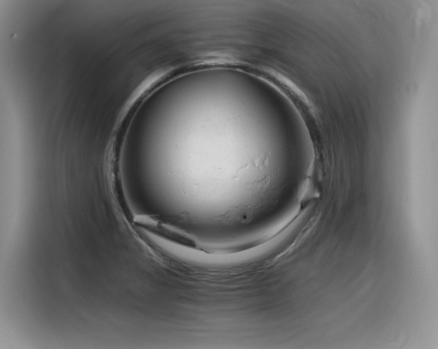 X0000116391325200912021532