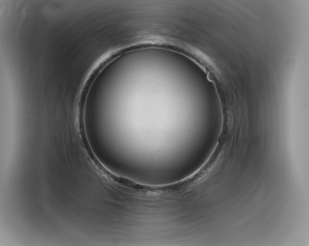 X0000116391326200912021532