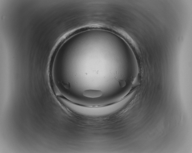 X0000116391327200912021532