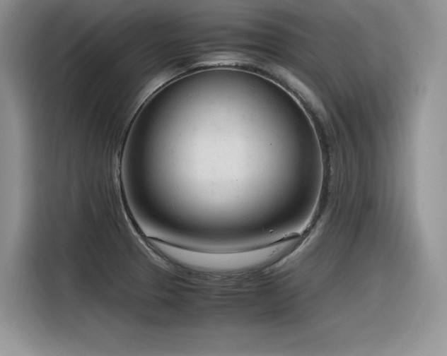 X0000116391329200912021532