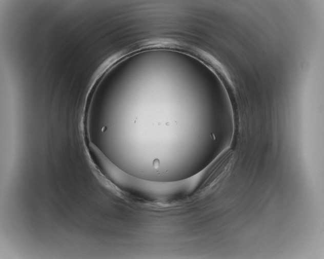 X0000116391330200912021532