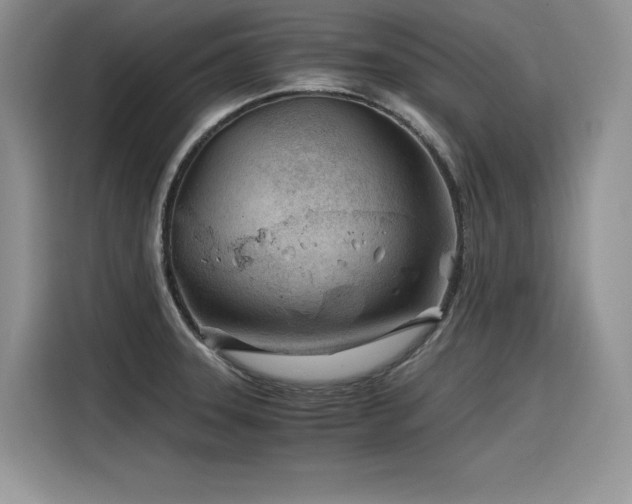 X0000116391331200912021532