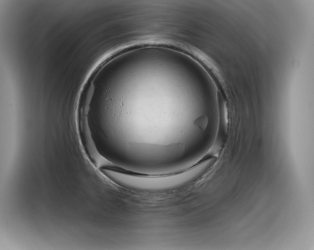 X0000116391334200912021532