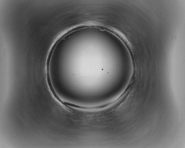 X0000116391335200912021532