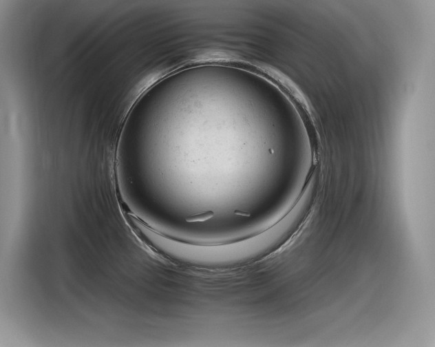 X0000116391337200912021532
