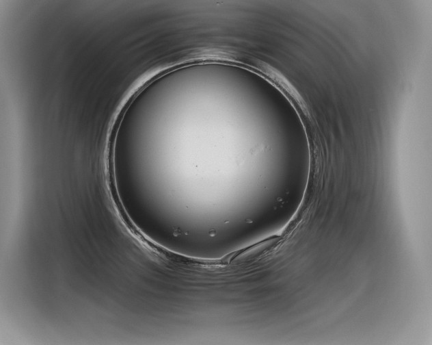 X0000116391339200912021532