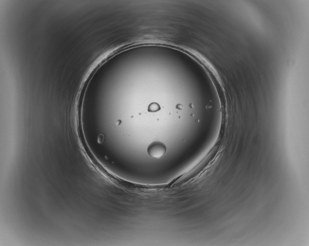 X0000116391341200912021532