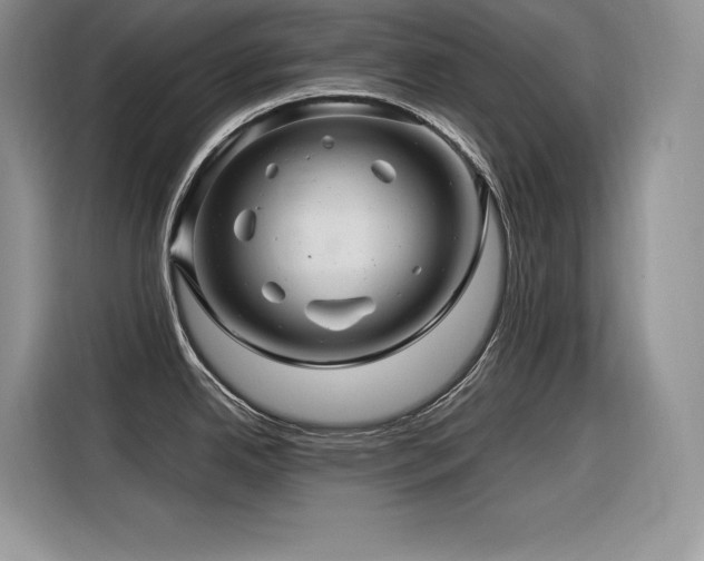 X0000116391342200912021532
