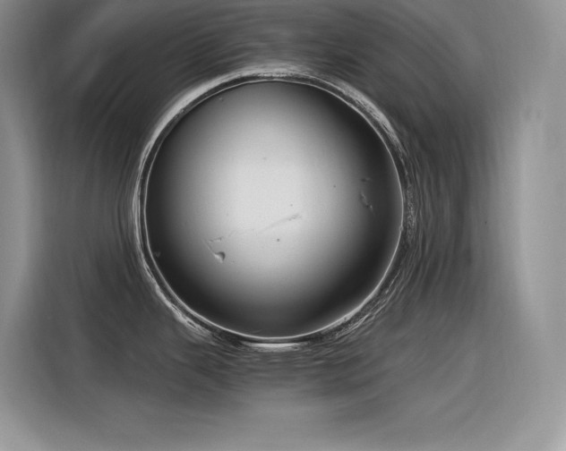 X0000116391343200912021532
