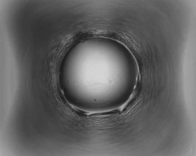 X0000116391345200912021531
