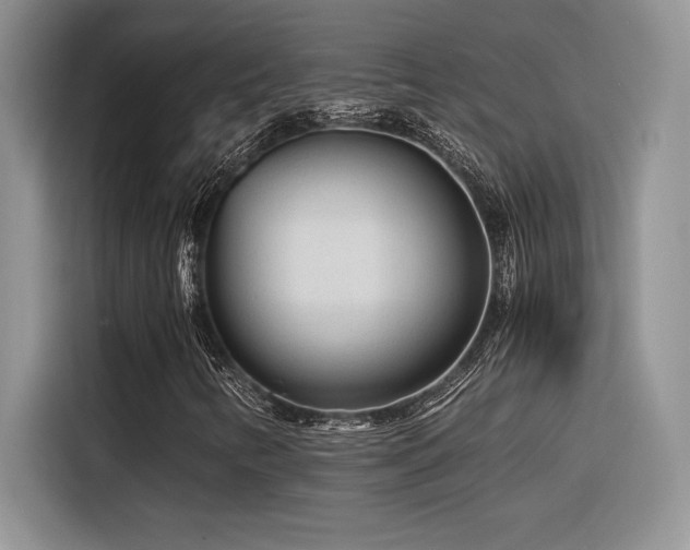 X0000116391346200912021531