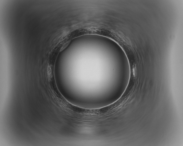 X0000116391347200912021531