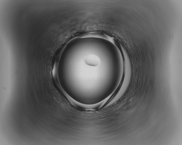 X0000116391348200912021531