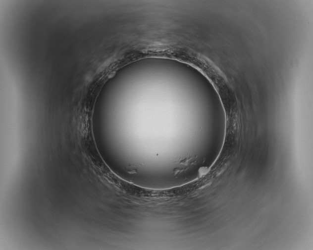 X0000116391350200912021531