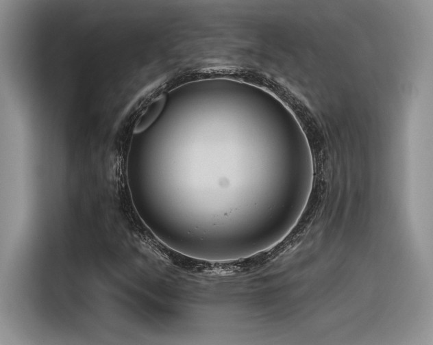 X0000116391351200912021531