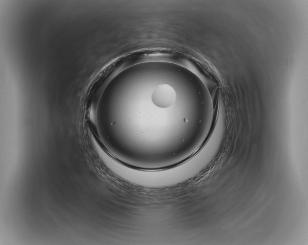 X0000116391352200912021531