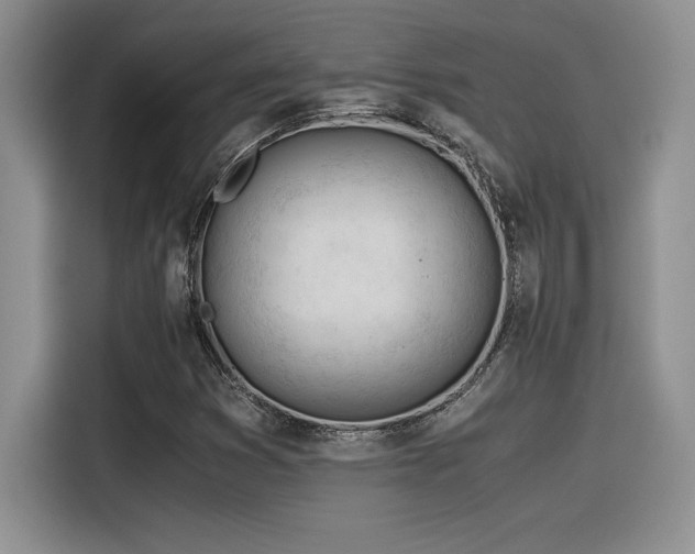 X0000116391353200912021531