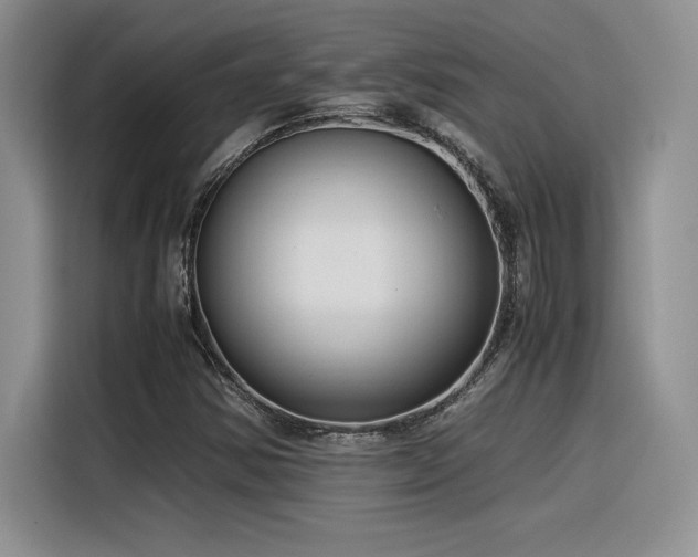 X0000116391354200912021531