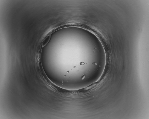 X0000116391355200912021531