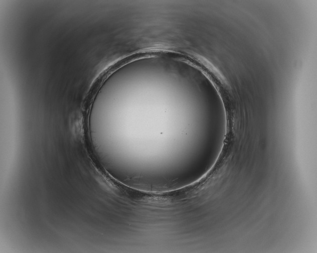 X0000116391356200912021531