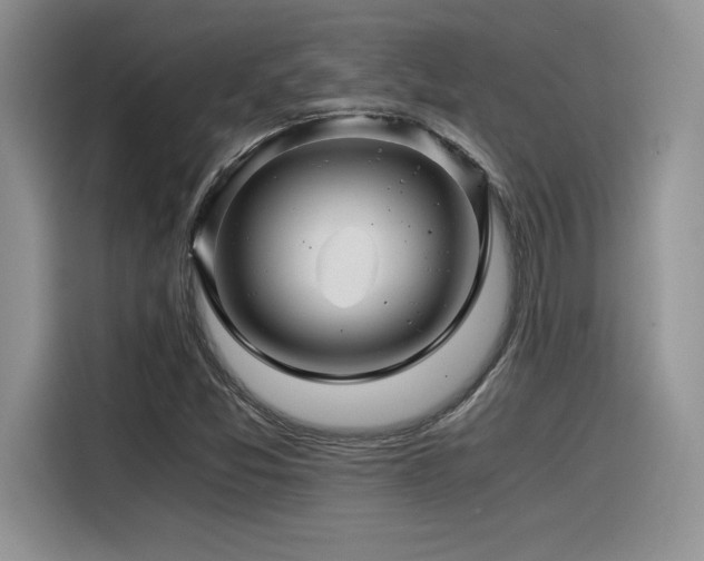 X0000116391357200912021531