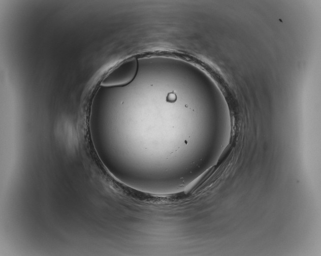 X0000116391359200912021531