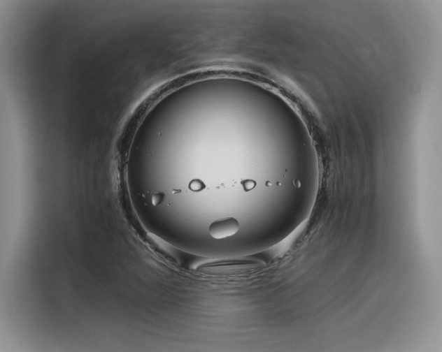 X0000116391360200912021531