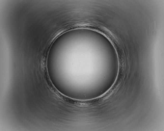 X0000116391361200912021531