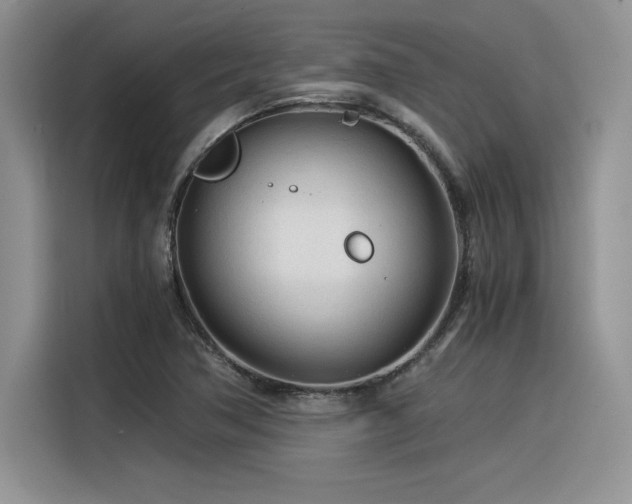 X0000116391362200912021531