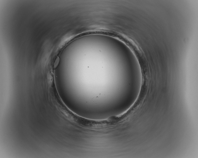X0000116391363200912021531