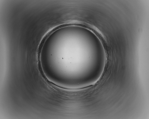 X0000116391364200912021531