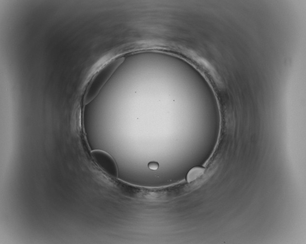 X0000116391365200912021531