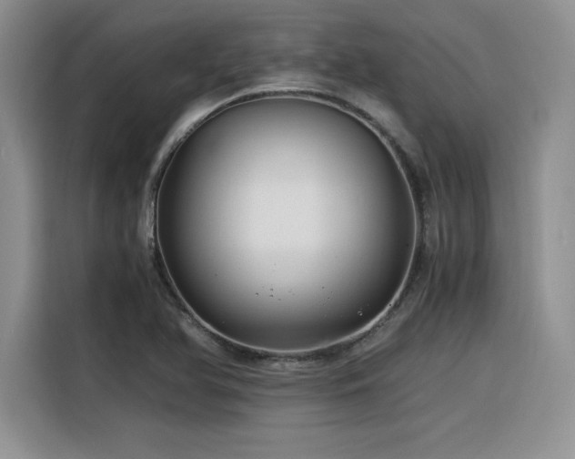X0000116391366200912021531
