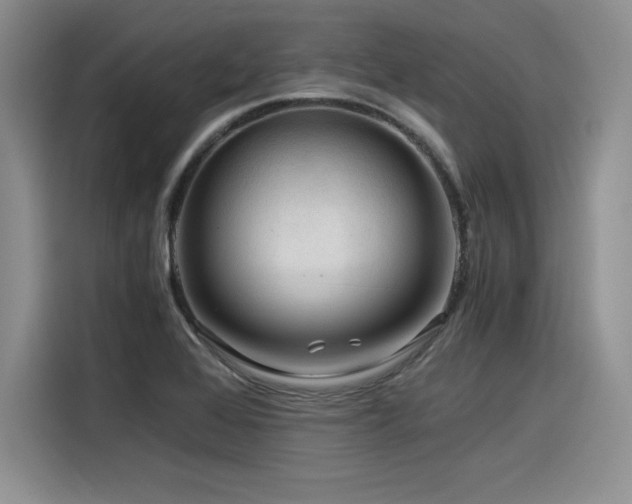 X0000116391368200912021531