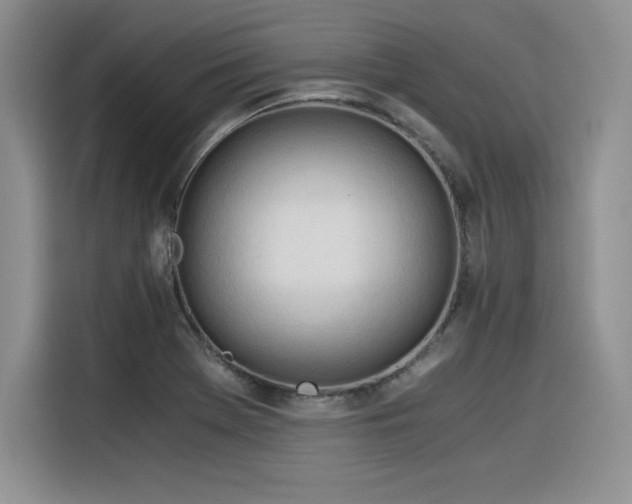 X0000116391369200912021531