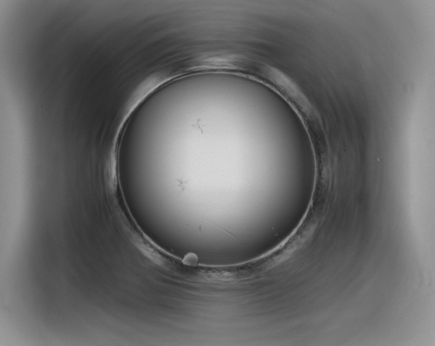 X0000116391370200912021531