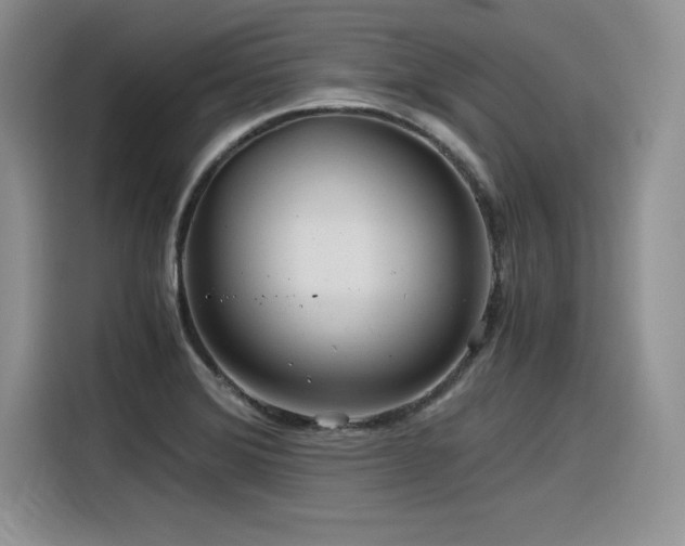 X0000116391372200912021531