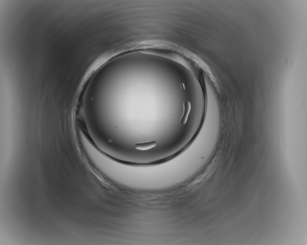X0000116391373200912021531