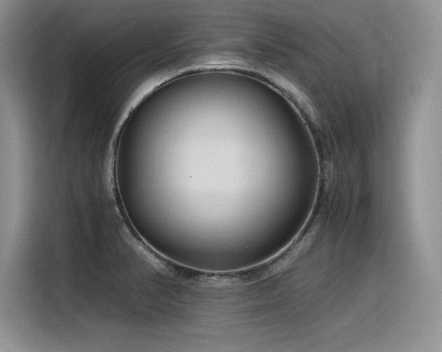 X0000116391374200912021531
