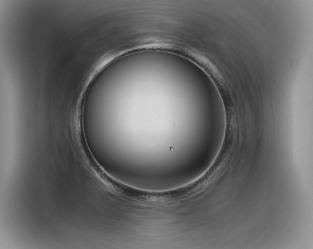 X0000116391375200912021531