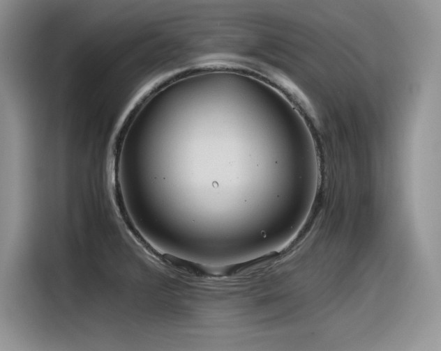 X0000116391376200912021531