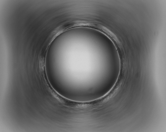 X0000116391377200912021531