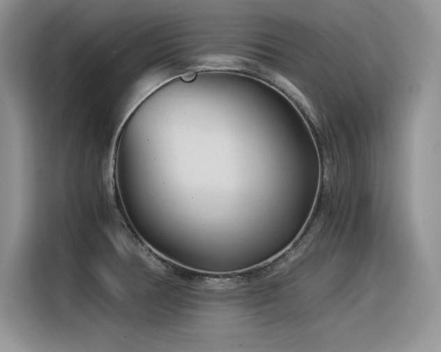 X0000116391378200912021531