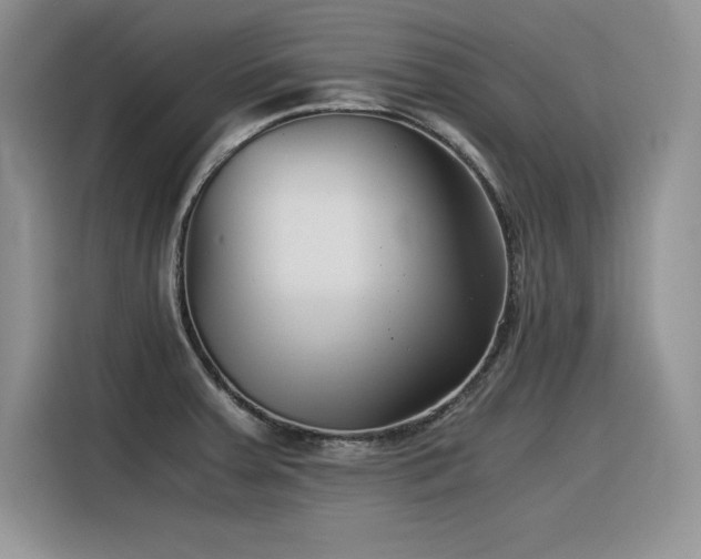 X0000116391379200912021531