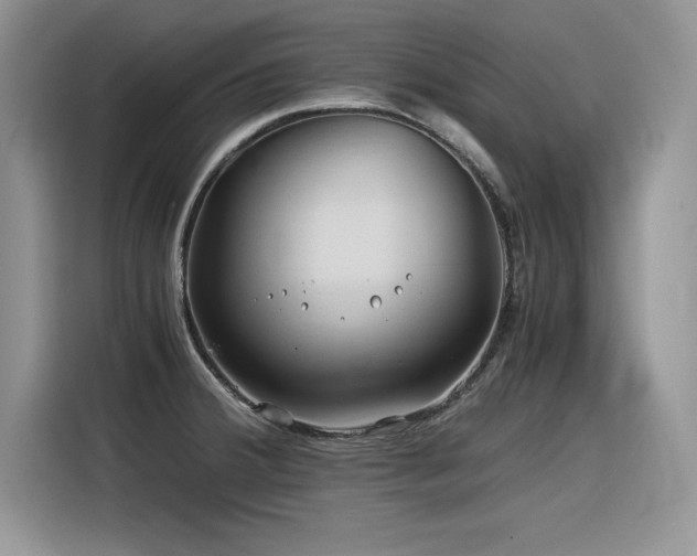 X0000116391380200912021531