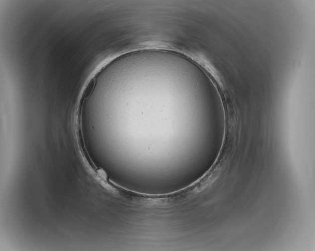 X0000116391381200912021531