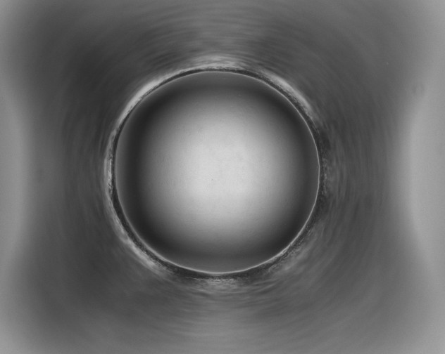 X0000116391383200912021531