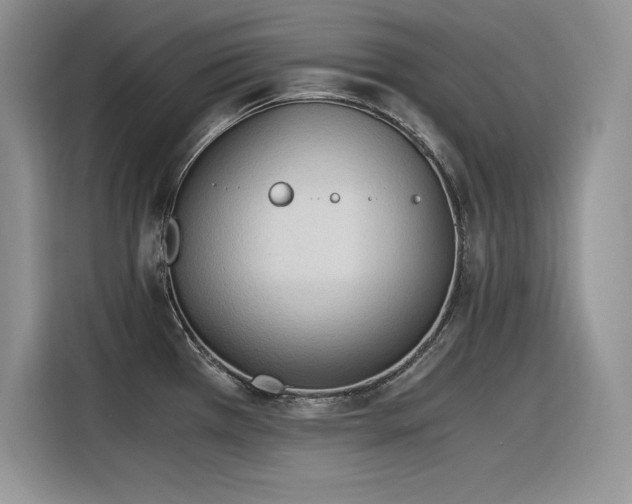 X0000116391385200912021531
